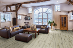 ������� Eurowood ������� ��� ������ ����