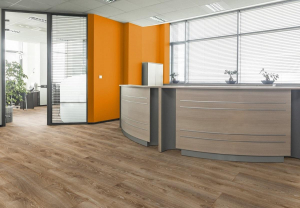 ������� Eurowood ����� ��� ������ ������